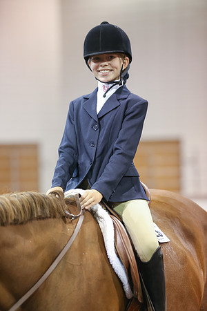 www.ngaphoto.com 2015 Georgia Federation of Saddle Clubs Championship Horse Show