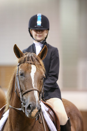 www.ngaphoto.com 2015 Georgia Federation of Saddle Clubs Championship Horse Show