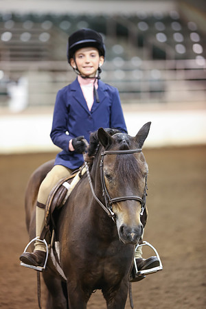 www.ngaphoto.com 2015 Georgia Federation of Saddle Clubs Championship Horse Show