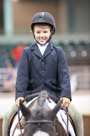 www.ngaphoto.com 2015 Georgia Federation of Saddle Clubs Championship Horse Show