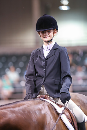 www.ngaphoto.com 2015 Georgia Federation of Saddle Clubs Championship Horse Show