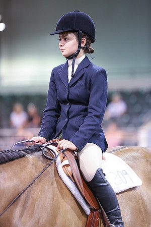 www.ngaphoto.com 2015 Georgia Federation of Saddle Clubs Championship Horse Show