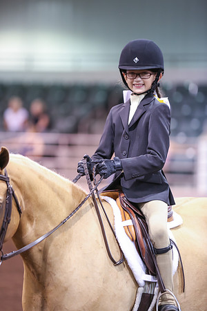 www.ngaphoto.com 2015 Georgia Federation of Saddle Clubs Championship Horse Show