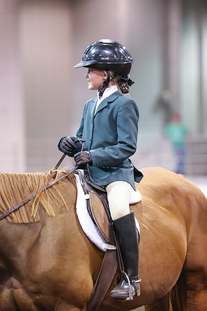 www.ngaphoto.com 2015 Georgia Federation of Saddle Clubs Championship Horse Show