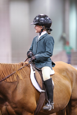 www.ngaphoto.com 2015 Georgia Federation of Saddle Clubs Championship Horse Show
