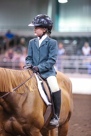 www.ngaphoto.com 2015 Georgia Federation of Saddle Clubs Championship Horse Show