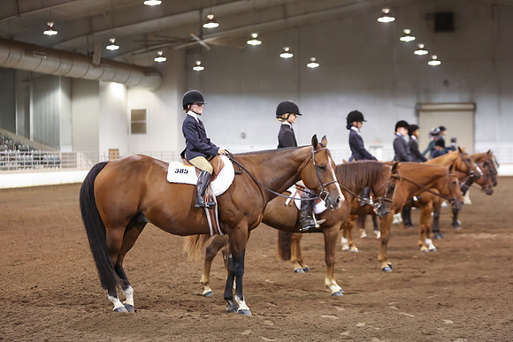 www.ngaphoto.com 2015 Georgia Federation of Saddle Clubs Championship Horse Show