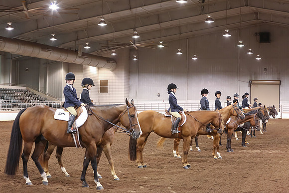www.ngaphoto.com 2015 Georgia Federation of Saddle Clubs Championship Horse Show