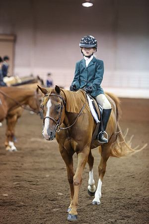 www.ngaphoto.com 2015 Georgia Federation of Saddle Clubs Championship Horse Show