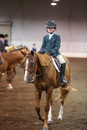 www.ngaphoto.com 2015 Georgia Federation of Saddle Clubs Championship Horse Show