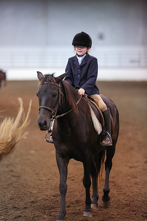 www.ngaphoto.com 2015 Georgia Federation of Saddle Clubs Championship Horse Show