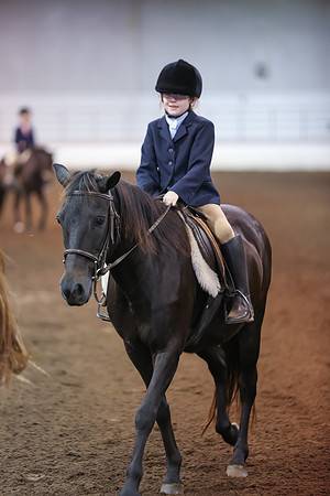 www.ngaphoto.com 2015 Georgia Federation of Saddle Clubs Championship Horse Show