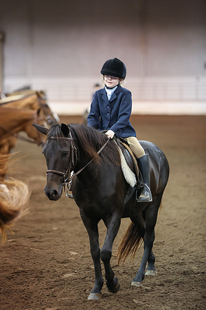 www.ngaphoto.com 2015 Georgia Federation of Saddle Clubs Championship Horse Show