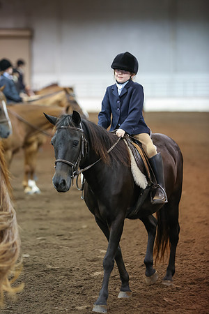 www.ngaphoto.com 2015 Georgia Federation of Saddle Clubs Championship Horse Show