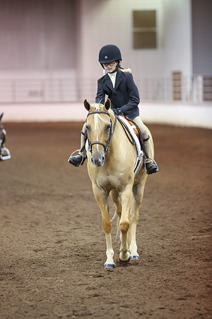 www.ngaphoto.com 2015 Georgia Federation of Saddle Clubs Championship Horse Show