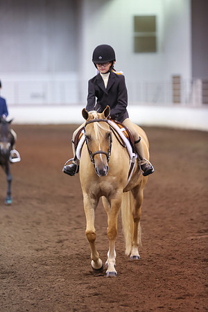 www.ngaphoto.com 2015 Georgia Federation of Saddle Clubs Championship Horse Show