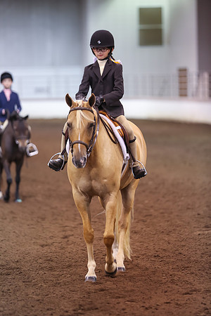 www.ngaphoto.com 2015 Georgia Federation of Saddle Clubs Championship Horse Show