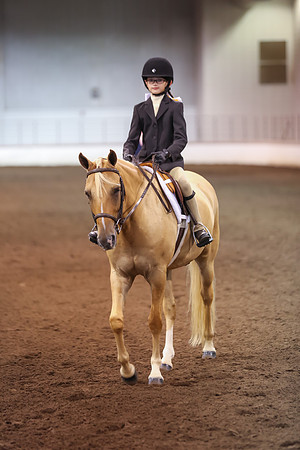 www.ngaphoto.com 2015 Georgia Federation of Saddle Clubs Championship Horse Show