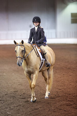 www.ngaphoto.com 2015 Georgia Federation of Saddle Clubs Championship Horse Show