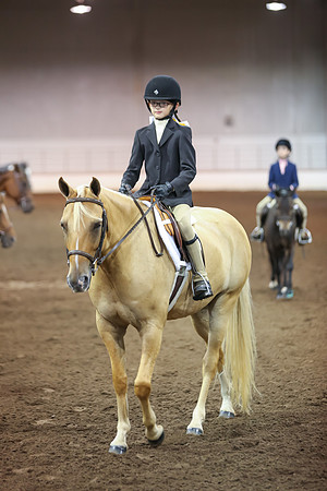 www.ngaphoto.com 2015 Georgia Federation of Saddle Clubs Championship Horse Show