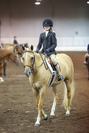www.ngaphoto.com 2015 Georgia Federation of Saddle Clubs Championship Horse Show
