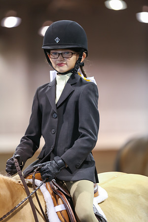 www.ngaphoto.com 2015 Georgia Federation of Saddle Clubs Championship Horse Show