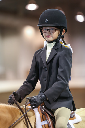 www.ngaphoto.com 2015 Georgia Federation of Saddle Clubs Championship Horse Show