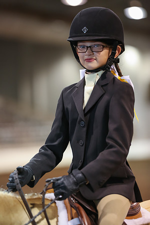 www.ngaphoto.com 2015 Georgia Federation of Saddle Clubs Championship Horse Show