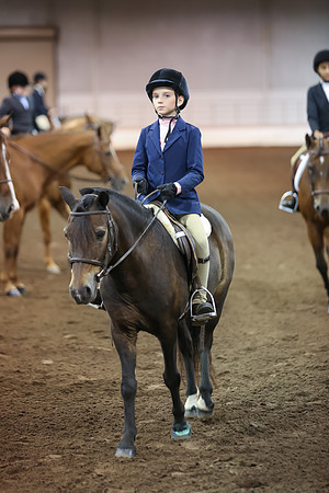 www.ngaphoto.com 2015 Georgia Federation of Saddle Clubs Championship Horse Show