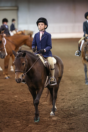 www.ngaphoto.com 2015 Georgia Federation of Saddle Clubs Championship Horse Show
