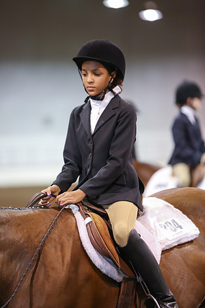 www.ngaphoto.com 2015 Georgia Federation of Saddle Clubs Championship Horse Show