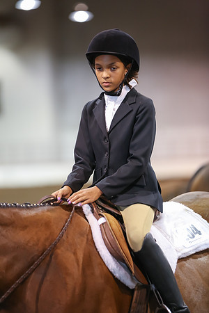 www.ngaphoto.com 2015 Georgia Federation of Saddle Clubs Championship Horse Show