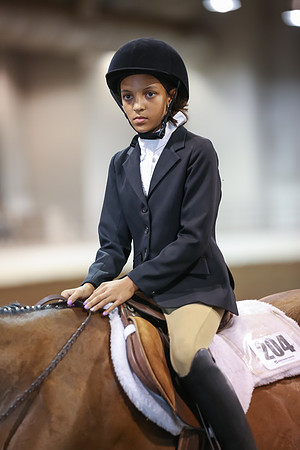 www.ngaphoto.com 2015 Georgia Federation of Saddle Clubs Championship Horse Show