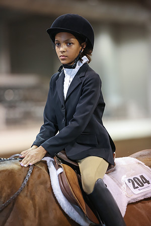 www.ngaphoto.com 2015 Georgia Federation of Saddle Clubs Championship Horse Show