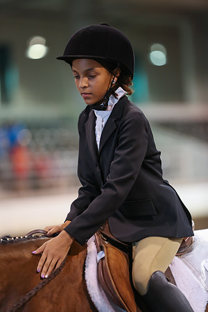 www.ngaphoto.com 2015 Georgia Federation of Saddle Clubs Championship Horse Show