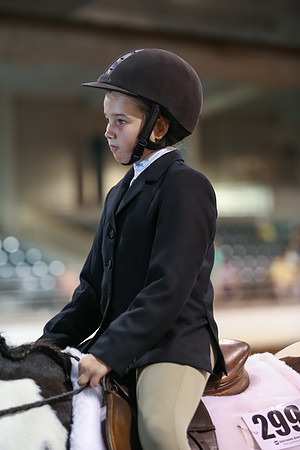 www.ngaphoto.com 2015 Georgia Federation of Saddle Clubs Championship Horse Show