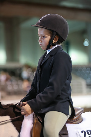 www.ngaphoto.com 2015 Georgia Federation of Saddle Clubs Championship Horse Show
