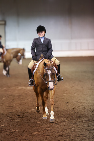 www.ngaphoto.com 2015 Georgia Federation of Saddle Clubs Championship Horse Show