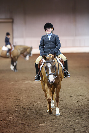 www.ngaphoto.com 2015 Georgia Federation of Saddle Clubs Championship Horse Show