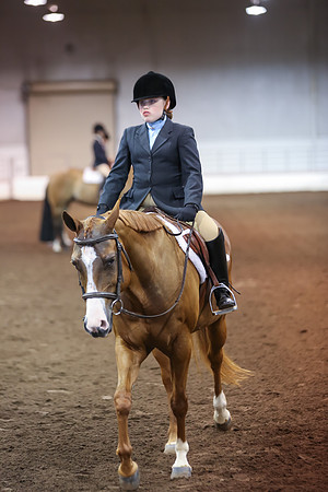 www.ngaphoto.com 2015 Georgia Federation of Saddle Clubs Championship Horse Show