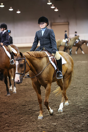 www.ngaphoto.com 2015 Georgia Federation of Saddle Clubs Championship Horse Show