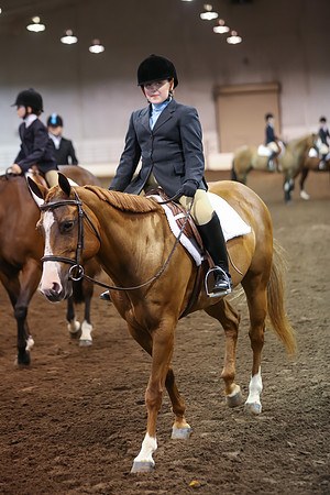 www.ngaphoto.com 2015 Georgia Federation of Saddle Clubs Championship Horse Show