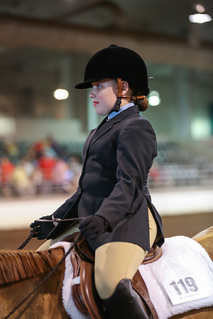 www.ngaphoto.com 2015 Georgia Federation of Saddle Clubs Championship Horse Show