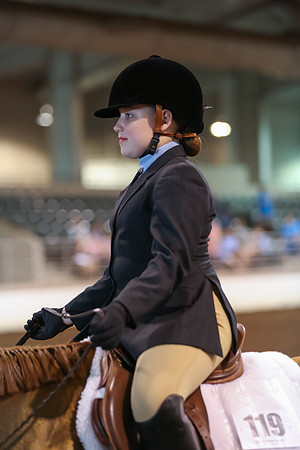 www.ngaphoto.com 2015 Georgia Federation of Saddle Clubs Championship Horse Show