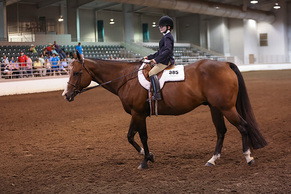 www.ngaphoto.com 2015 Georgia Federation of Saddle Clubs Championship Horse Show