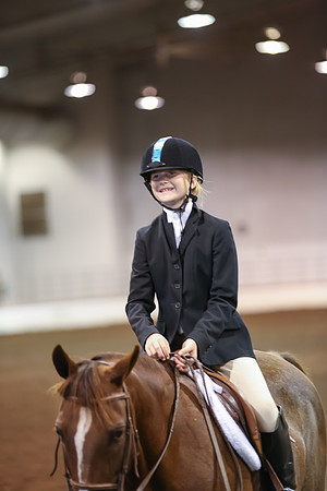 www.ngaphoto.com 2015 Georgia Federation of Saddle Clubs Championship Horse Show