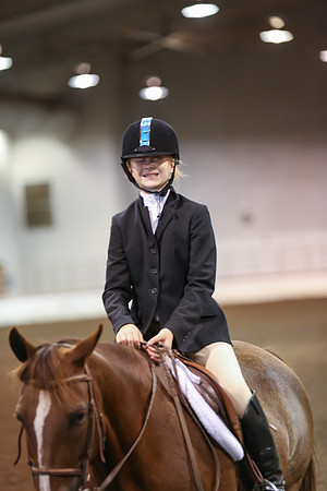 www.ngaphoto.com 2015 Georgia Federation of Saddle Clubs Championship Horse Show