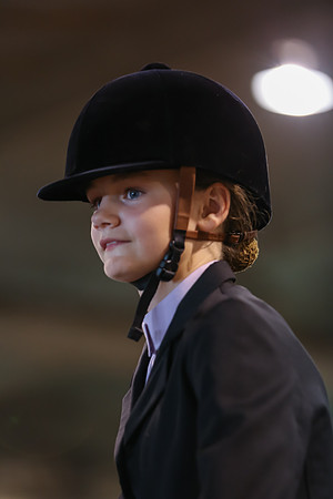www.ngaphoto.com 2015 Georgia Federation of Saddle Clubs Championship Horse Show