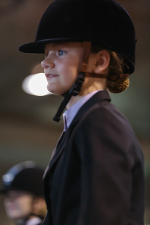 www.ngaphoto.com 2015 Georgia Federation of Saddle Clubs Championship Horse Show