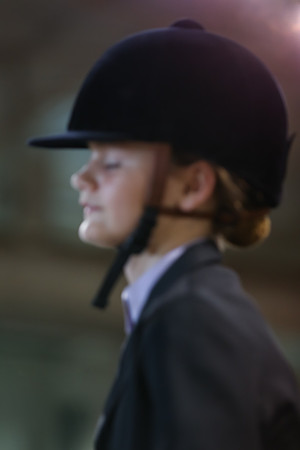 www.ngaphoto.com 2015 Georgia Federation of Saddle Clubs Championship Horse Show